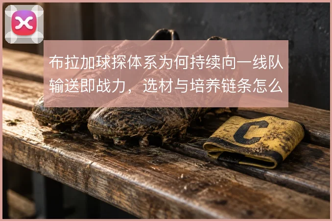 布拉加球探体系为何持续向一线队输送即战力,选材与培养链条怎么衔接