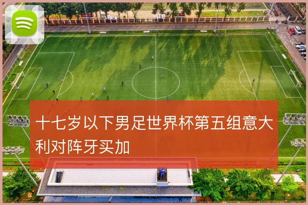 十七岁以下男足世界杯第五组意大利对阵牙买加